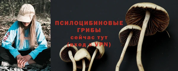 герыч Абаза