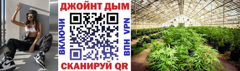 Шишки марихуана семена  гидра онион  Агидель 